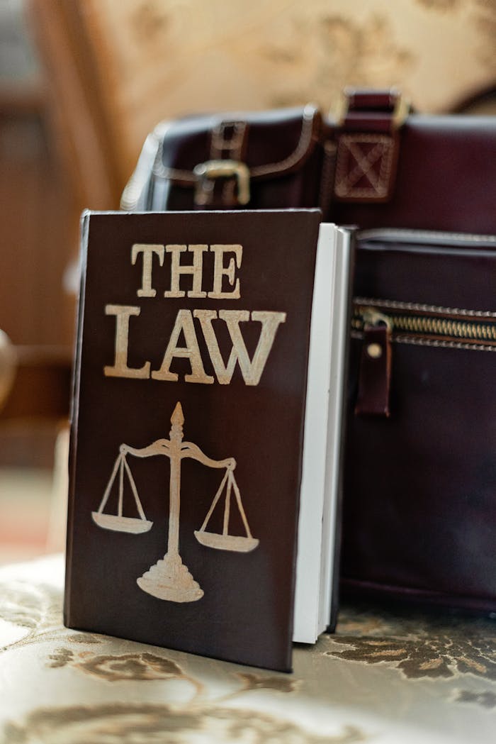 services-06 Close-up of a law book titled 'The Law' beside a leather briefcase.